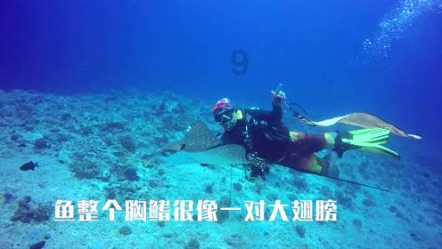 探索春联有什么寓意吗?社区,红迪网平台精彩分享